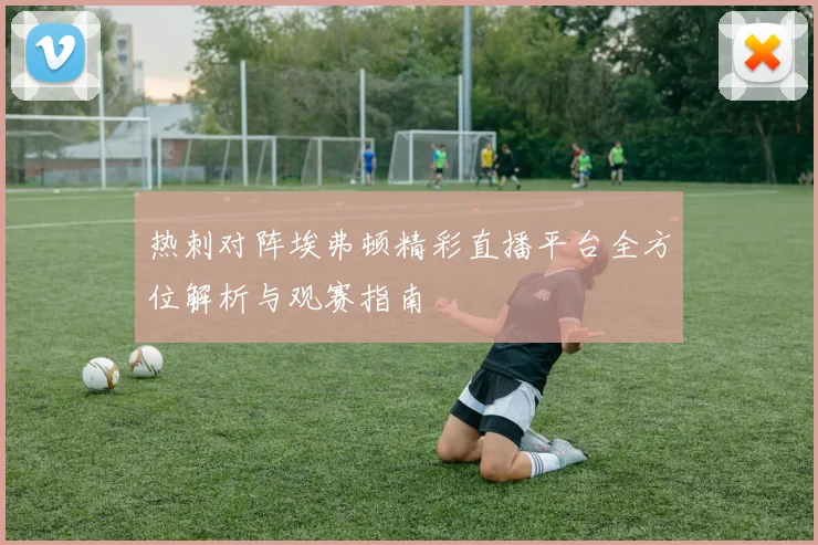 热刺对阵埃弗顿精彩直播平台全方位解析与观赛指南