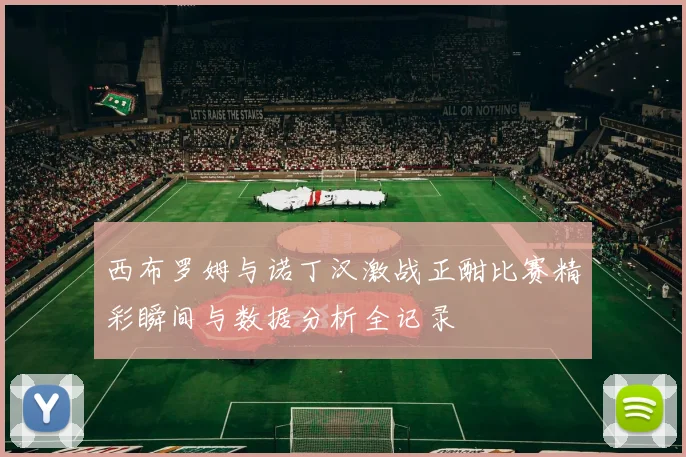 切尔西与布莱顿精彩对决录像回放全场集锦分析与精彩瞬间分享