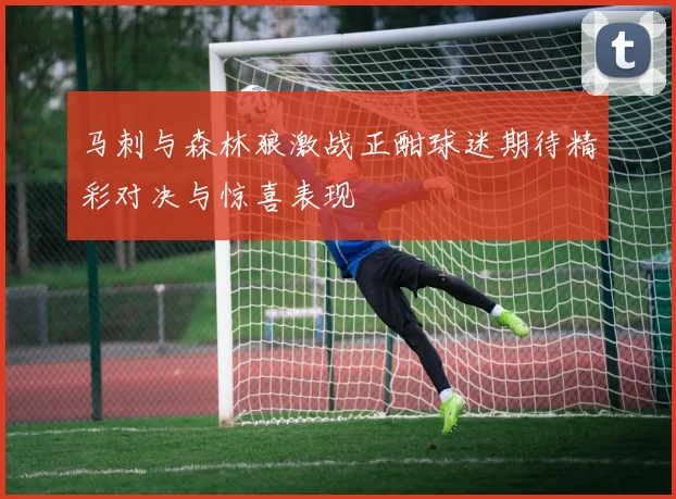 马刺与森林狼激战正酣球迷期待精彩对决与惊喜表现