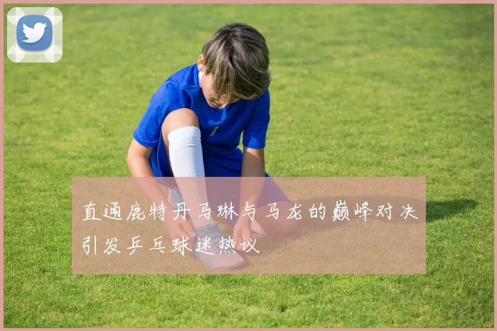 直通鹿特丹马琳与马龙的巅峰对决引发乒乓球迷热议