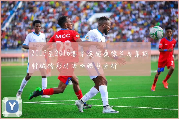 2015至2016赛季英超桑德兰与莱斯特城精彩对决回顾与分析