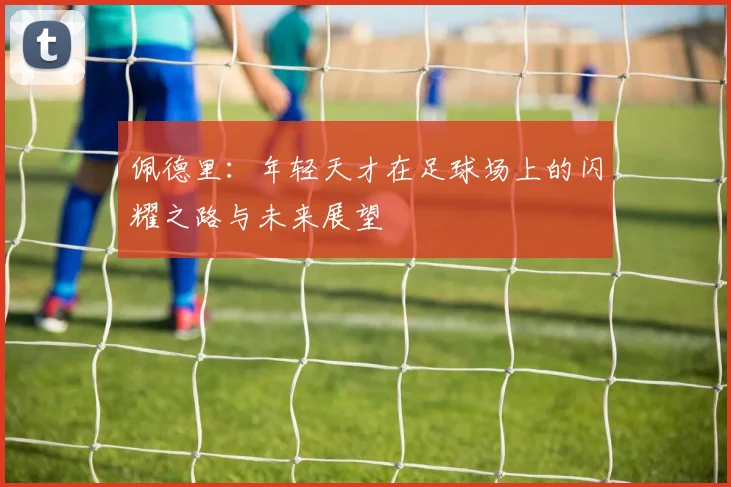 佩德里：年轻天才在足球场上的闪耀之路与未来展望