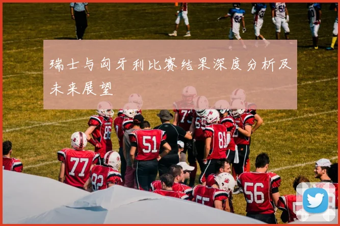 瑞士与匈牙利比赛结果深度分析及未来展望