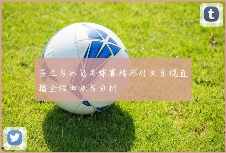 芬兰与冰岛足球赛精彩对决乐视直播全程回放与分析