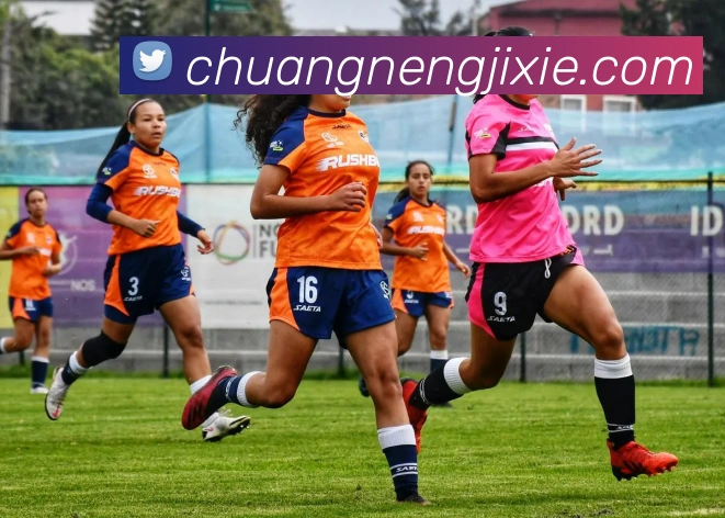 LEwin乐玩平台生态图